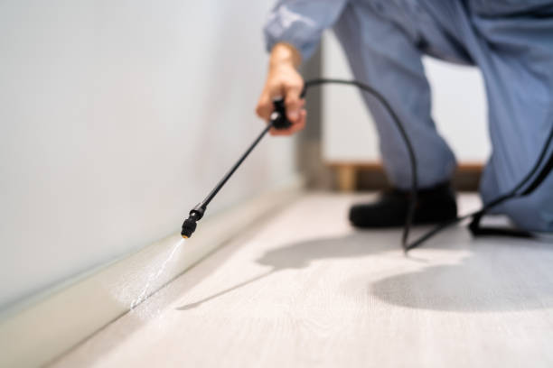 Licensed Mosquito Control service in Pasco, WA - Nex Pest Control