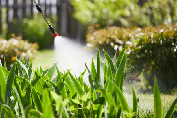 24/7 Emergency Mosquito Control experts in Pasco, WA