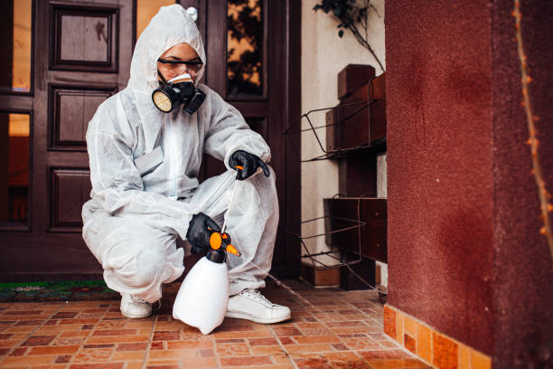 Reliable Mosquito Control contractor in Pasco, WA by Nex Pest Control